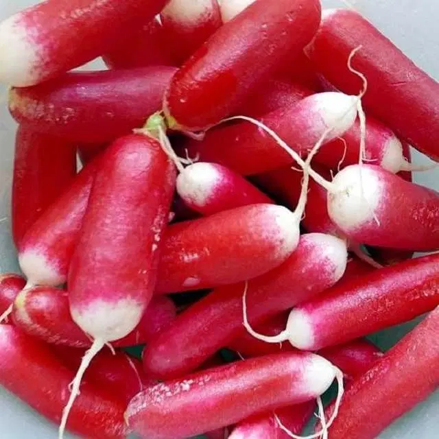 Seeds of Red Radish Vegetable, Pack Of 50