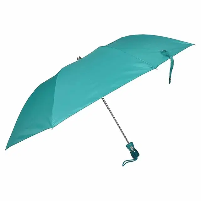 Portable Solid 2 Fold Umbrella, Assorted