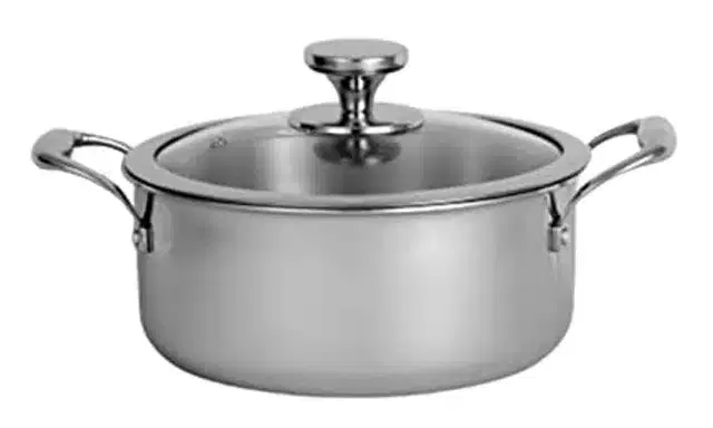 Stainless Steel Casserole with Glass Lid, Silver, 3.6 L