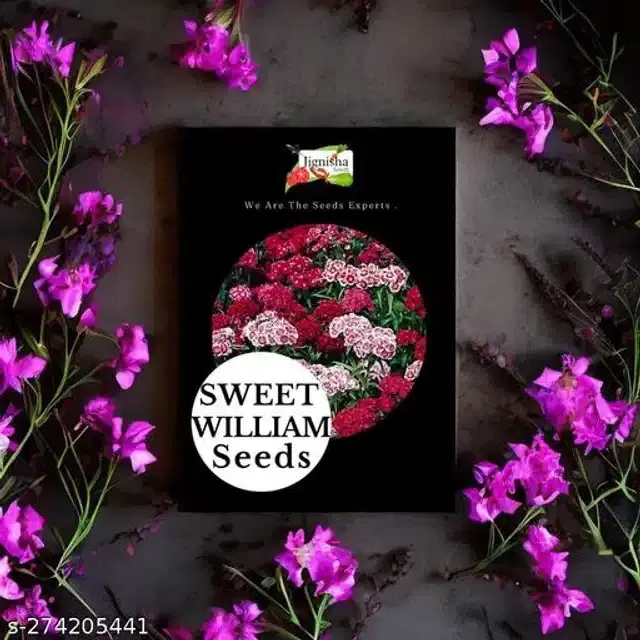 Sweet William Hybrid Flower Seeds, Pack of 30