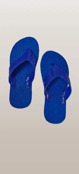 Flipflops for Men (Blue, 4)