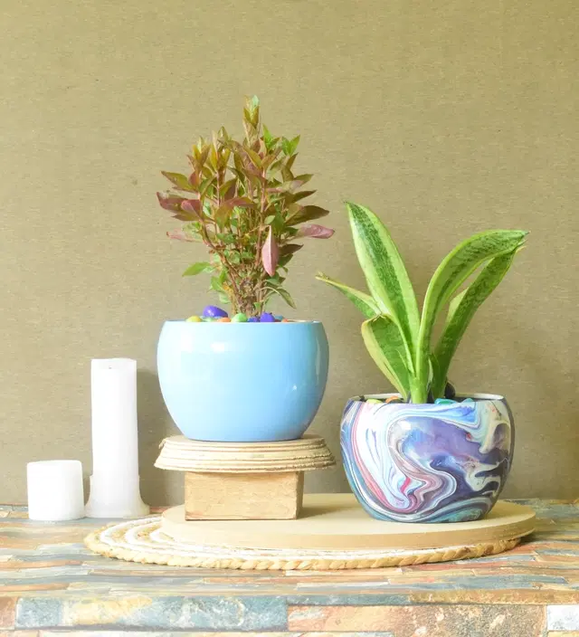 Metal Planter for Home, Multicolor, Pack of 2