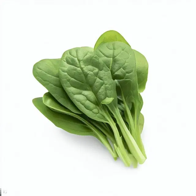 Spinach Vegetable Seeds, Pack of 200