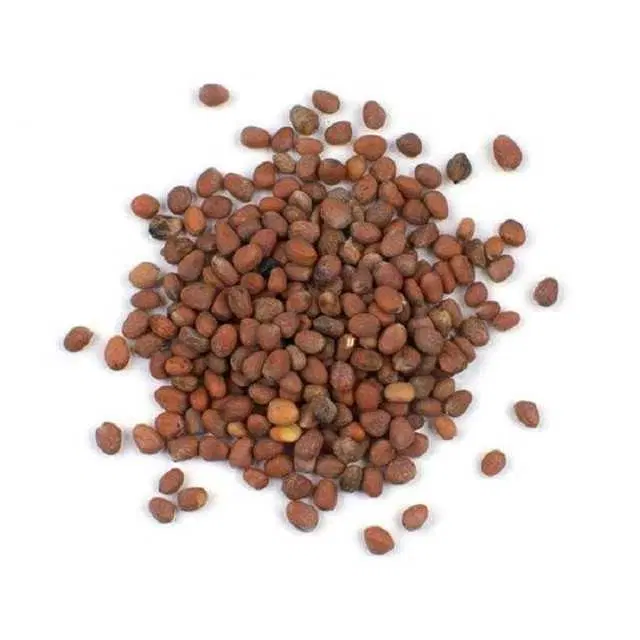 White Radish Seeds, Pack Of 500