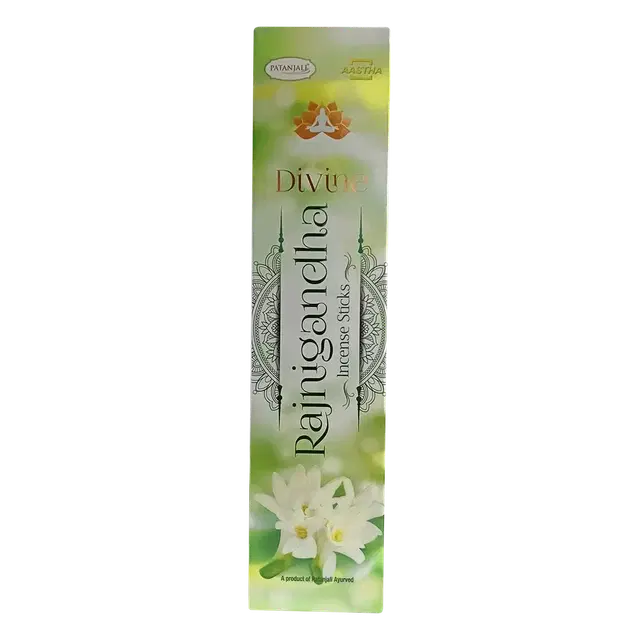 Patanjali Aastha Agarbatti Divine Rajnigandha 110 g