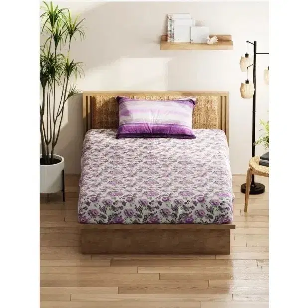 Kopa Classic Cotton Feel Single Bedsheet 120gsm Bed4206sz