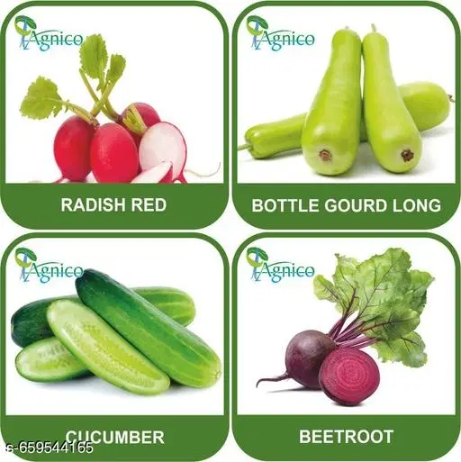 4 Vegetable Seeds Combo With Instruction Manual(Radish Red/Bottle Gourd Long/Cucumber/Beetroot)