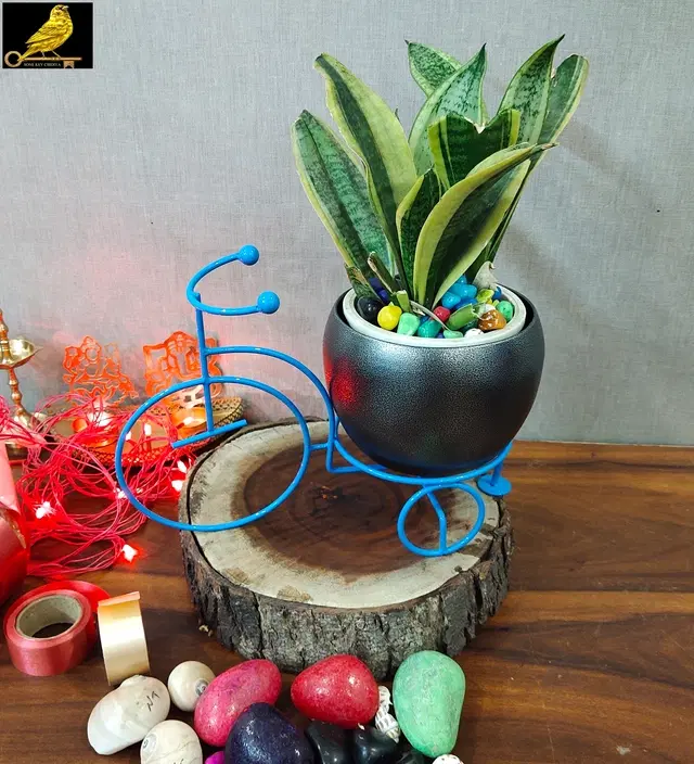 Metal Planter for Home, Blue & Silver, Pack of 2