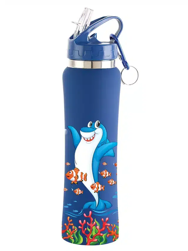 Stainless Steel Sipper Water Bottle, Blue, 750 ml