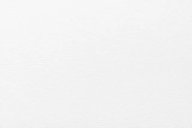 Garlic (Lahsun) | 250 g