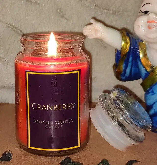 Floish Decor Premium Cranberry Scented Cookie Jar Candle