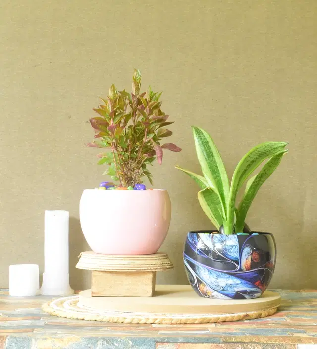 Metal Planter for Home, Multicolor, Pack of 2