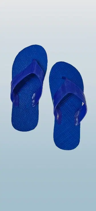 Flipflops for Men (Blue, 5)