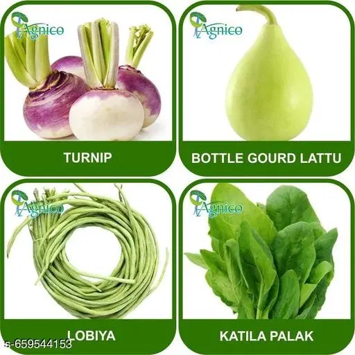 4 Vegetable Seeds Combo With Instruction Manual(Turnip/Bottle Gourd Lattu/Lobiya/Katila Palak)