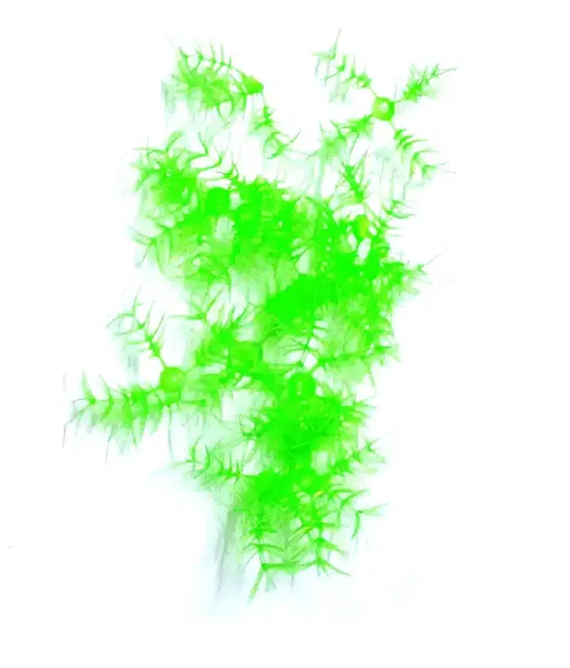 School Project Grass, Green, Pack of 35