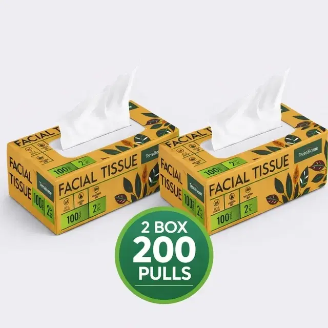 TerraHome Facial Tissue Box, 2 Ply, 100 Pulls x 2 [Pack of 2]