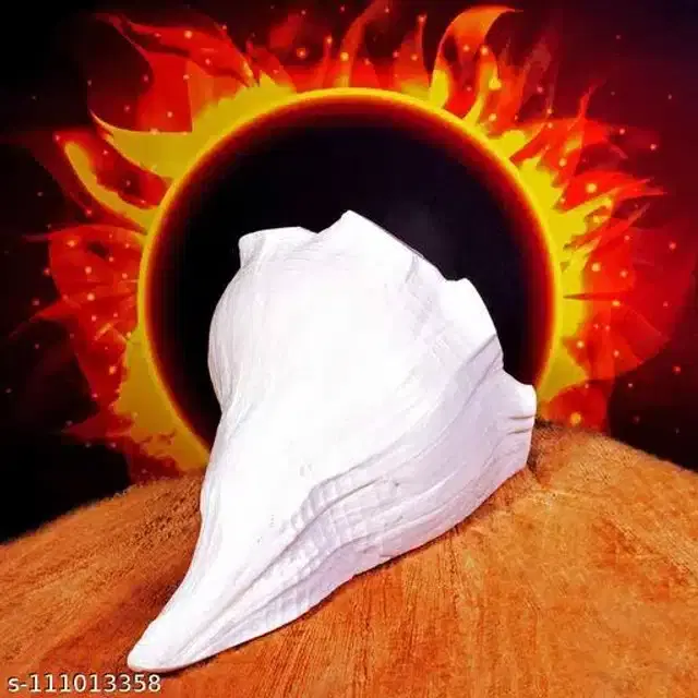 Dakshinavarti Shankh, White