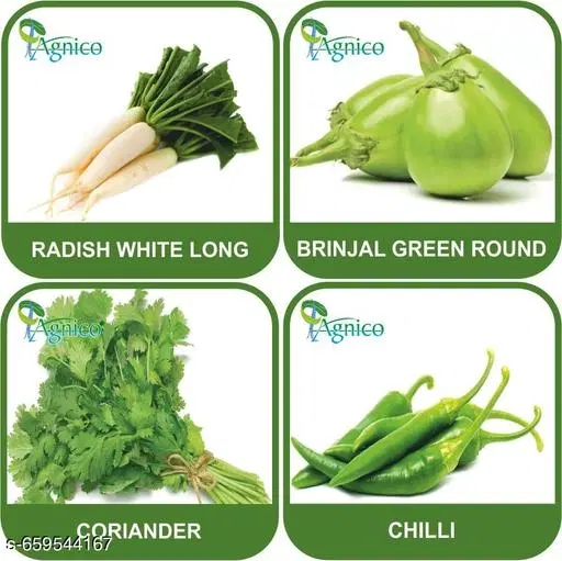 4 Vegetable Seeds Combo With Instruction Manual(Radish White Long/Brinjal Green Round/Coriander/Chilli)