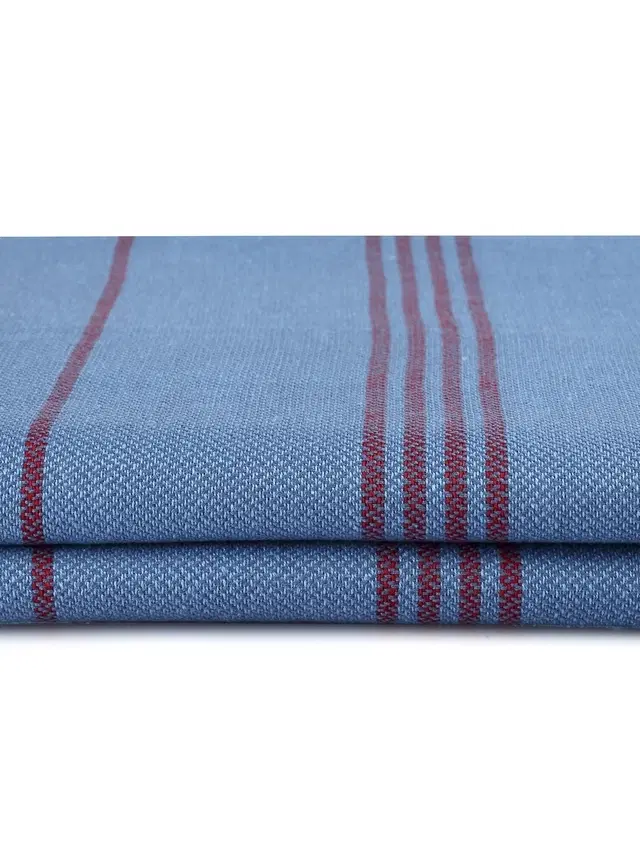 Cotton High Absorbent Bath Towels, Blue, Pack of 2