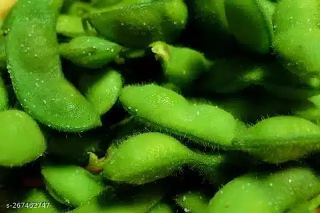 Sem Fali Flat Beans High Quality Seeds, Pack of 30