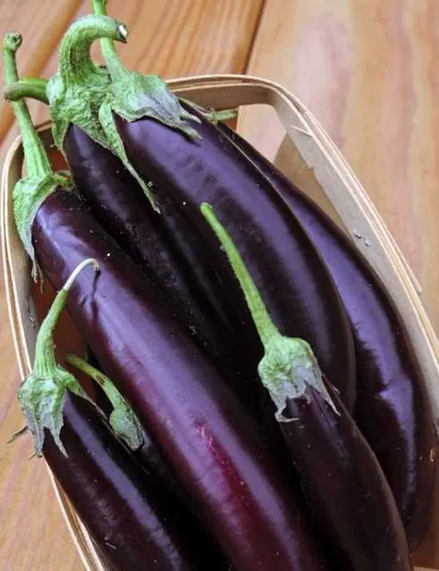 Recron Seeds of Organic Long Brinjal Vegetable, Pack Of 50