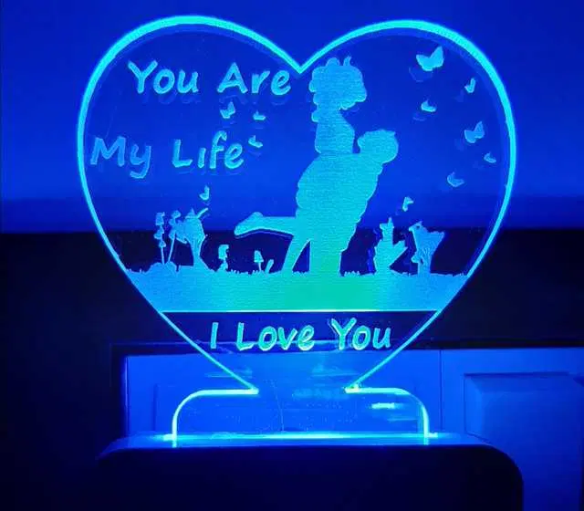 Leppy Night Lamp, Light With Plug, Multicolor, L9