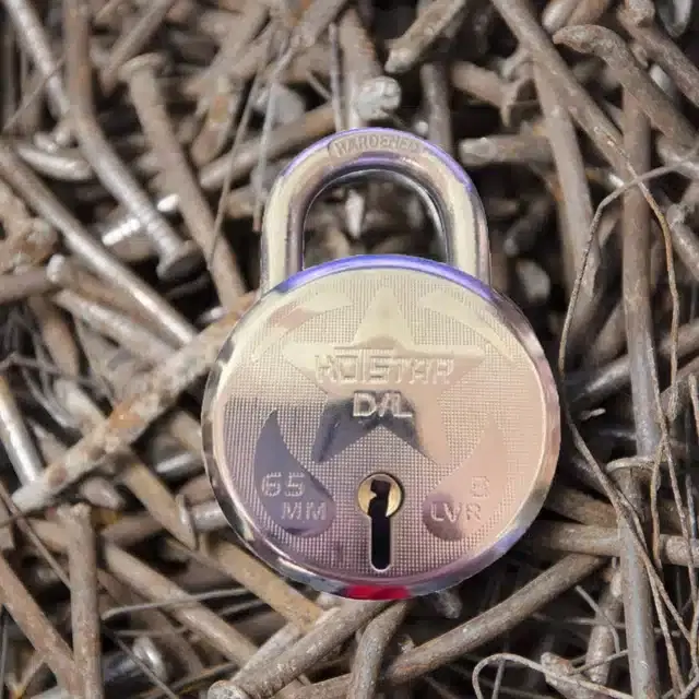 Stainless Steel Door Lock & Key, Silver