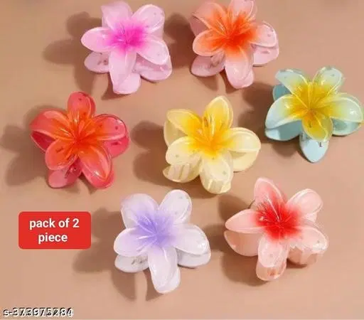 Plastic Hair Clips for Women, Pack of 2 (Multicolor)
