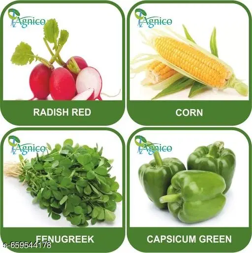 4 Vegetable Seeds Combo With Instruction Manual(Radish Red/Corn/Fenugreek/Capsicum Green)