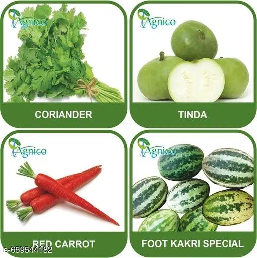 4 Vegetable Seeds Combo With Instruction Manual(Coriander/Tinda/Red Carrot/Foot Kakri Special)