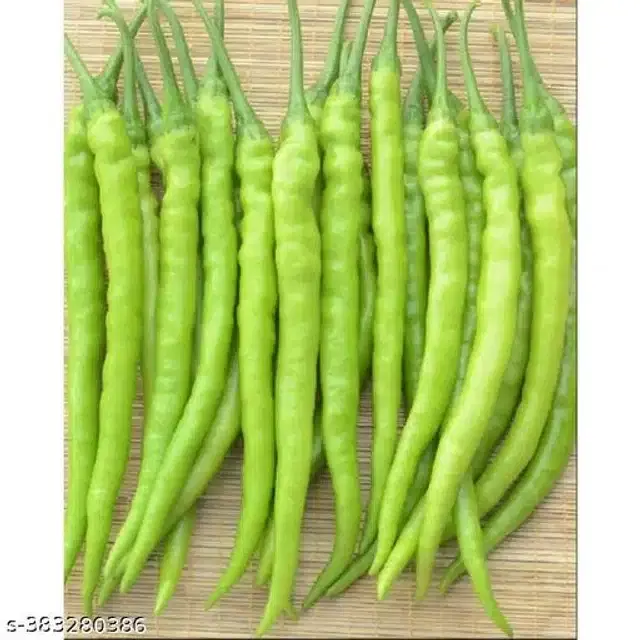 Mota Mirchi Seeds, Pack of 50