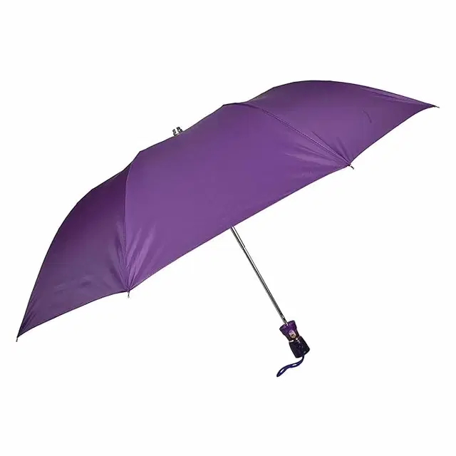 Portable Solid 2 Fold Umbrella, Assorted
