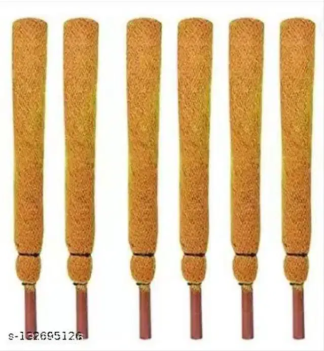 Wooden Moss Stick, Brown, 2 feet, Pack of 6