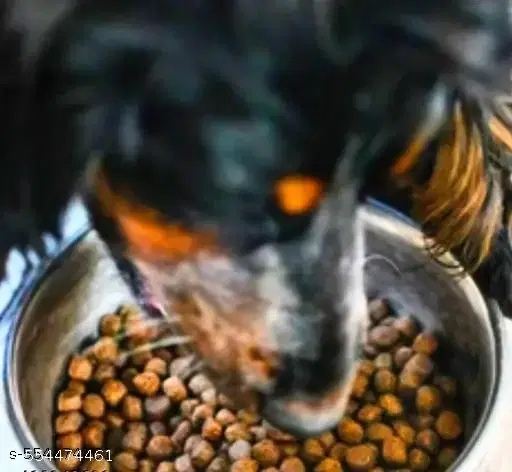 Dog Adult Nutrious Dry Kibble Food ,450g,(Pack Of 1)