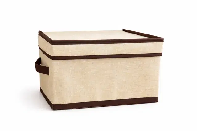 Craft Bazar Multipurpose Foldable Fabric Storage Box with Lid & Handles for Clothes, Laundry, Towels Wardrobe and Home Storage Organizer Pack of 1