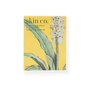Skin Co. New York Brightening Radiance Facial Kit, 40 g