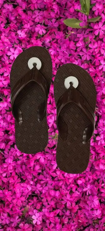 Flipflops for Men (Brown, 6)