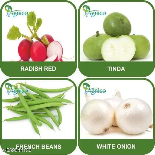 4 Vegetable Seeds Combo With Instruction Manual(Radish Red/Tinda/French Beans/White Onion)