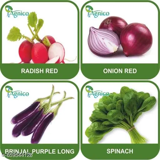 4 Vegetable Seeds Combo With Instruction Manual(Radish Red/Onion Red/Brinjal Purple Long/Spinach)