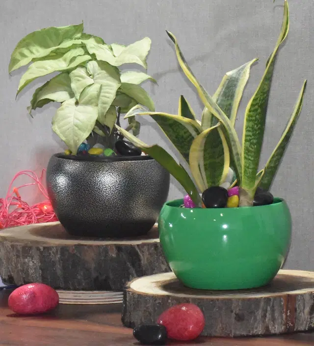 Metal Planter for Home, Silver & Green, Pack of 2