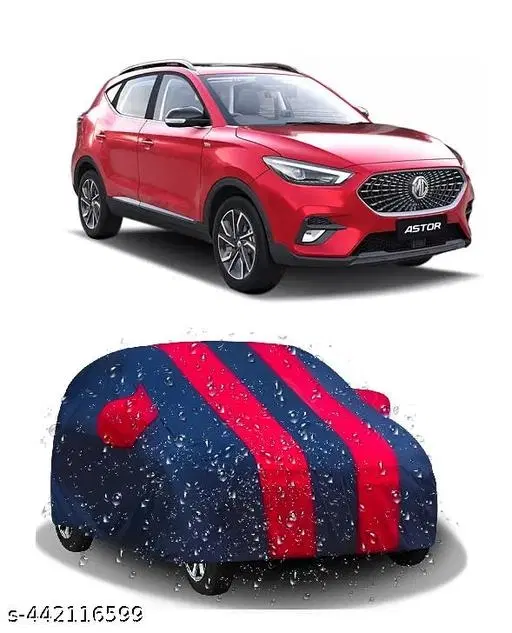 Taffeta Cover for Car, Multicolour
