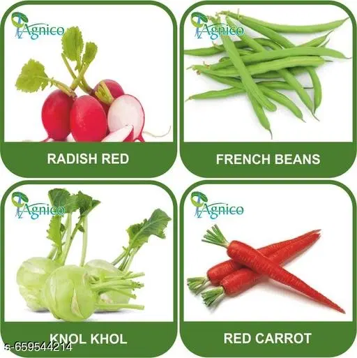 4 Vegetable Seeds Combo With Instruction Manual(Radish Red/French Beans/Knol Khol/Red Carrot)